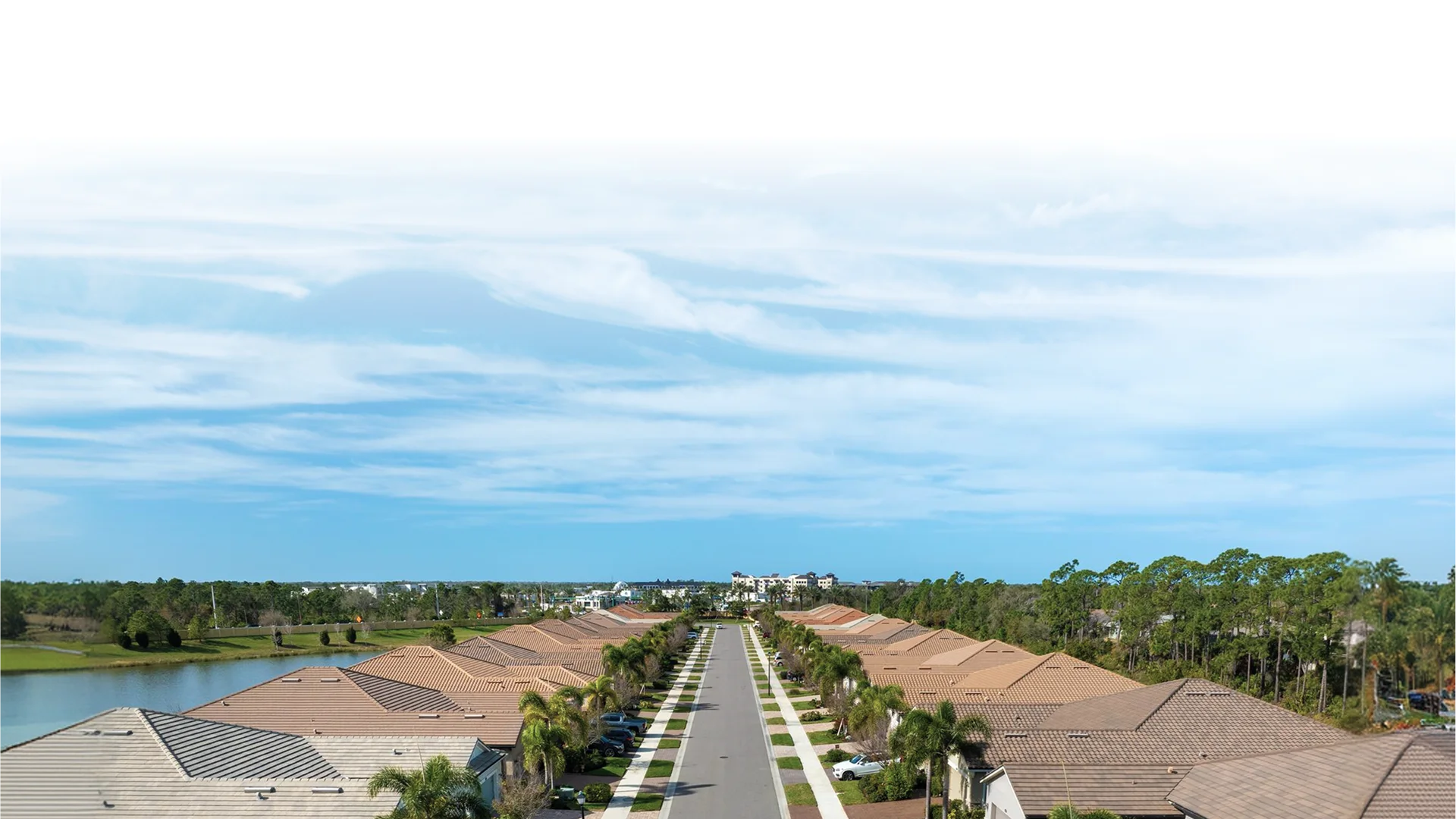 Aerial view of a sunny residential neighborhood with palm trees
