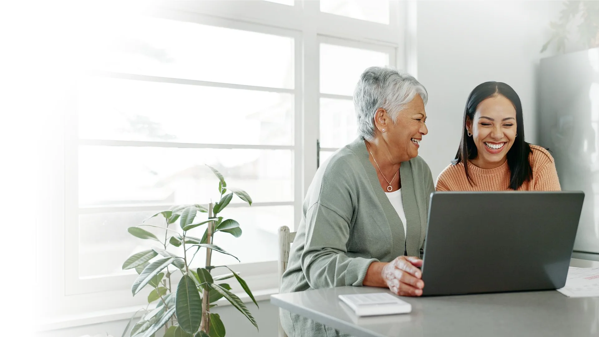 Caregiver and older woman using a laptop
